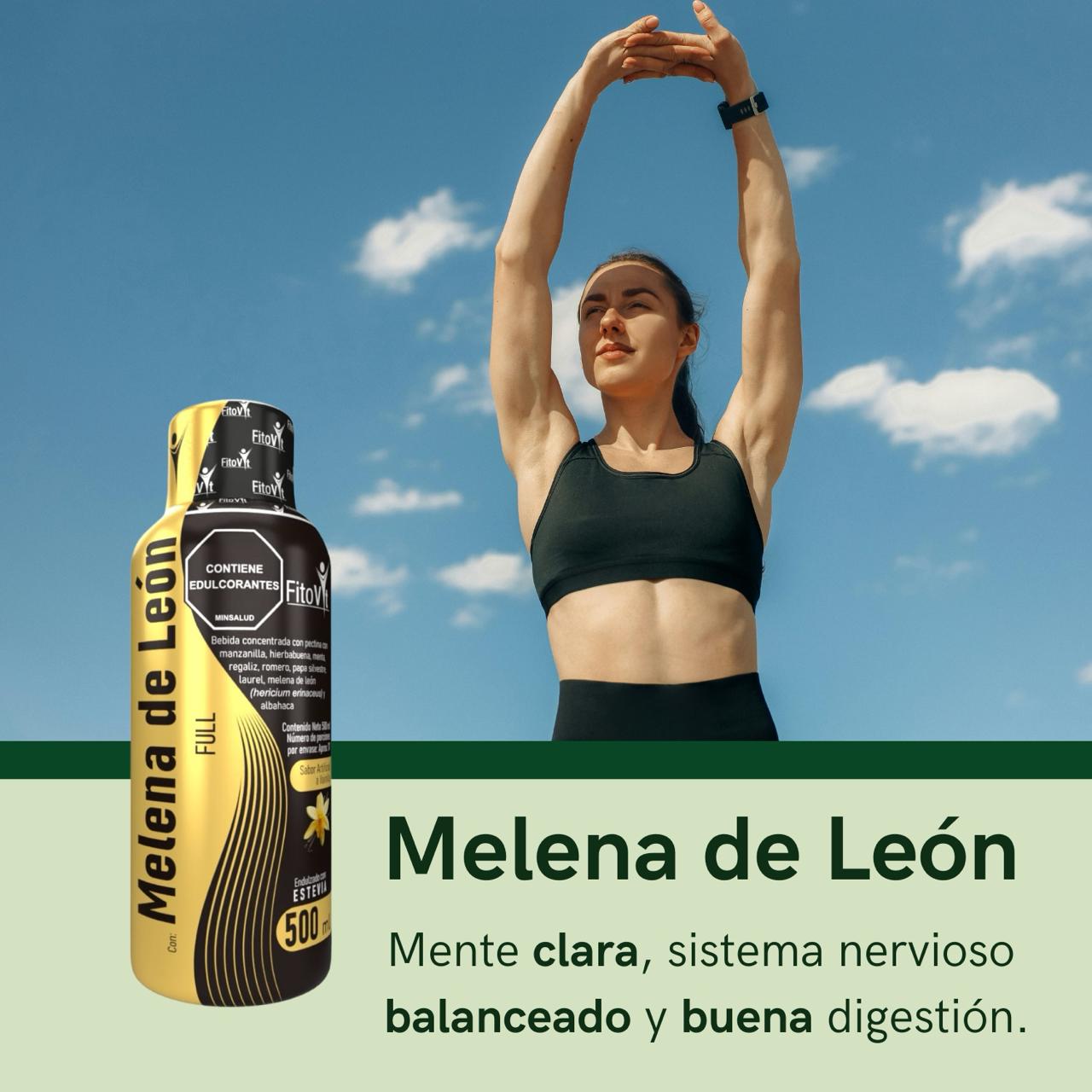 Nueva Vitalidad Melena de León